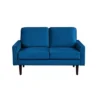 Mason Stationary Loveseat Navy Blue - Lifestyle Solutions 1 Mason Stationary Loveseat Navy Blue - Lifestyle Solutions -Furniture Shop GUEST 7dcd6080 ae0d 4703 9c0a 72fd3578a547